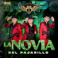 Grupo R10 – La Novia Del Pajarillo [En Vivo]