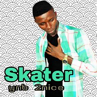 Přední strana obalu CD Skater