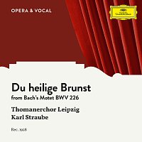 Thomanerchor Leipzig, Karl Straube – J.S. Bach: Du heilige Brunst