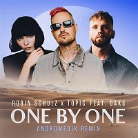 Robin Schulz & Topic – One By One (feat. Oaks) [Andromedik Remix]
