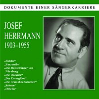 Přední strana obalu CD Dokumente einer Sangerkarriere - Josef Herrmann