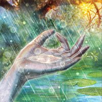 Přední strana obalu CD Gentle Rain