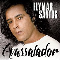 Avassalador