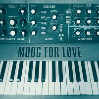 Přední strana obalu CD Moog For Love