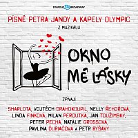 Přední strana obalu CD Písně Petra Jandy a kapely Olympic z muzikálu Okno mé lásky