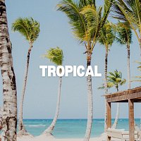 Přední strana obalu CD Tropical