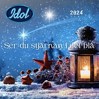 Idol, Margaux Flavet, Minou Nilsson, Victoria Grace, Robin Sohlberg, Leo Tekiel – Ser du stjarnan i det bla [Idol 2024]