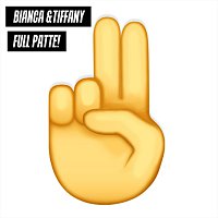 Přední strana obalu CD Pulla