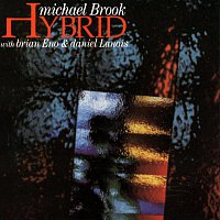 Michael Brook – Hybrid