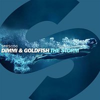 Dimmi & Goldfish – The Storm