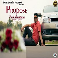 Přední strana obalu CD Propose