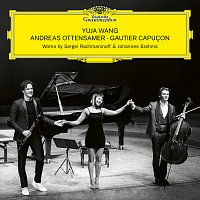 Andreas Ottensamer, Gautier Capucon, Yuja Wang – Brahms: Clarinet Trio in A Minor, Op. 114: I. Allegro