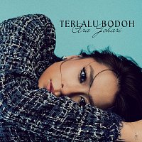 Přední strana obalu CD Terlalu Bodoh