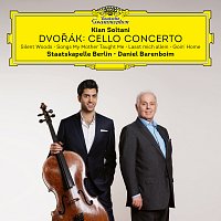 Přední strana obalu CD Dvořák: Cello Concerto