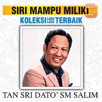 SM Salim – Koleksi Lagu Lagu Terbaik