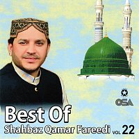 Shahbaz Qamar Fareedi – Best Of Shahbaz Qamar Fareedi, Vol. 22