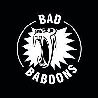 Přední strana obalu CD Rolling Deep