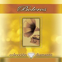 Various  Artists – Coleccion Diamante: Boleros