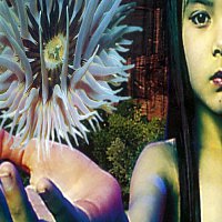 The Future Sound Of London – Lifeforms