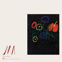 Devendra Banhart – Kantori Ongaku