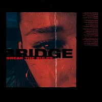 BRIDGE – Break the Rules