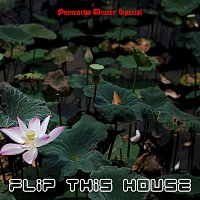 Přední strana obalu CD Flip This House