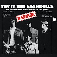 The Standells – Try It [Mono Version]