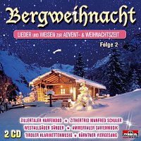 DIVERSE INTERPRETEN – Bergweihnacht 2 Instrumental