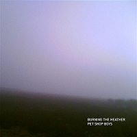 Přední strana obalu CD Burning the heather
