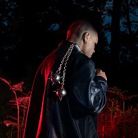 IPNDEGO – MORNINGSTAR