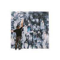 Zamdane – Flouka