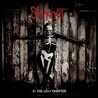 Slipknot – .5: The Gray Chapter CD