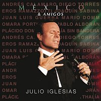 Julio Iglesias – México & Amigos