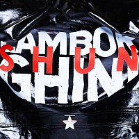 Přední strana obalu CD ????