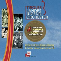 Tiroler Landesjugendorchester, Tiroler Landesjugendorchester, Working clarinets – Tiroler Landesjugendorchester