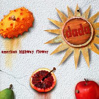 Dada – American Highway Flower