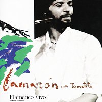 Přední strana obalu CD Flamenco Vivo