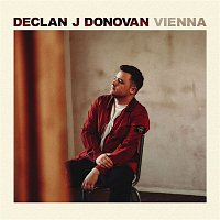 Declan J Donovan – Vienna