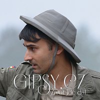 Gipsy.cz – Život jde dál MP3