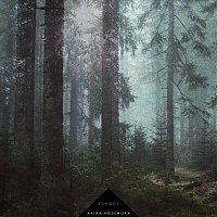 Přední strana obalu CD Echoes