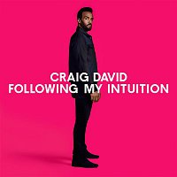 Craig David – Following My Intuition