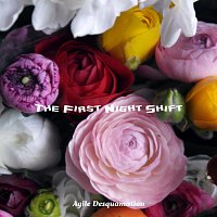 Agile Desquamation – The First Night Shift