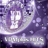 Různí interpreti – VDMplus Hits Vol.11