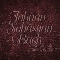 Johann Sebastian Bach: Suites Bwv 1007-1012