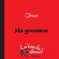 Přední strana obalu CD Ma gonzesse [La bande a Renaud, volume 2]