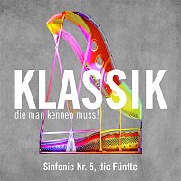 Sinfonie Nr. 5, die Funfte, - Allegro (Symphony No. 5, the Fifth)