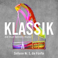 David Zinman – Sinfonie Nr. 5, die Funfte, - Allegro (Symphony No. 5, the Fifth)