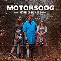 Motorsoog