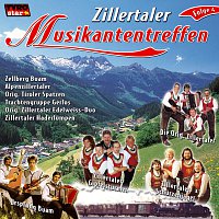 Diverse Interpreten – Zillertaler Musikantentreffen Folge 4