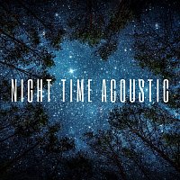 Arlo Vega, Lucas Silver, Daniel Flowers, Aleko Nunez, Luke Gaul, Dario Solaire – Night Time Acoustic